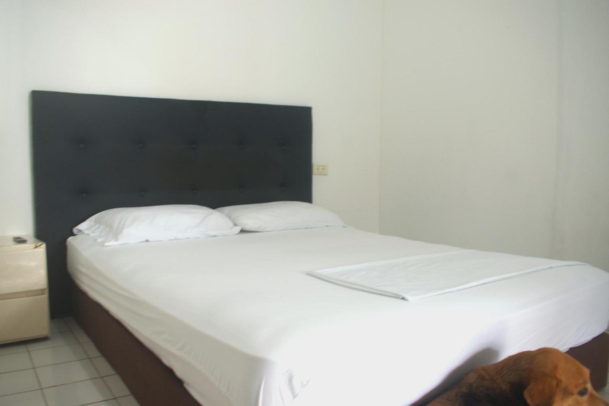 Hosting And Travel Services 420 Cartagena Exterior foto