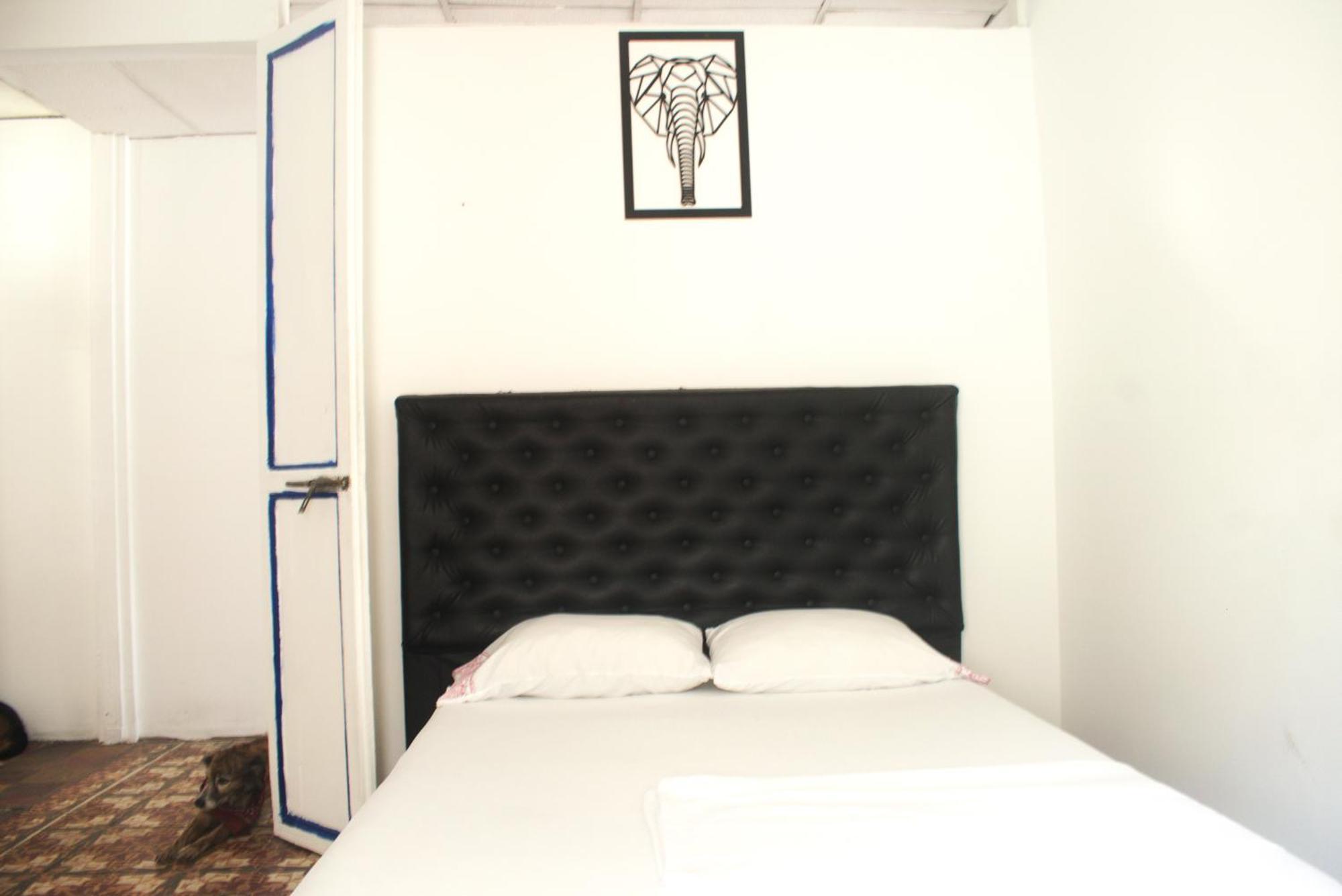 Hosting And Travel Services 420 Cartagena Exterior foto