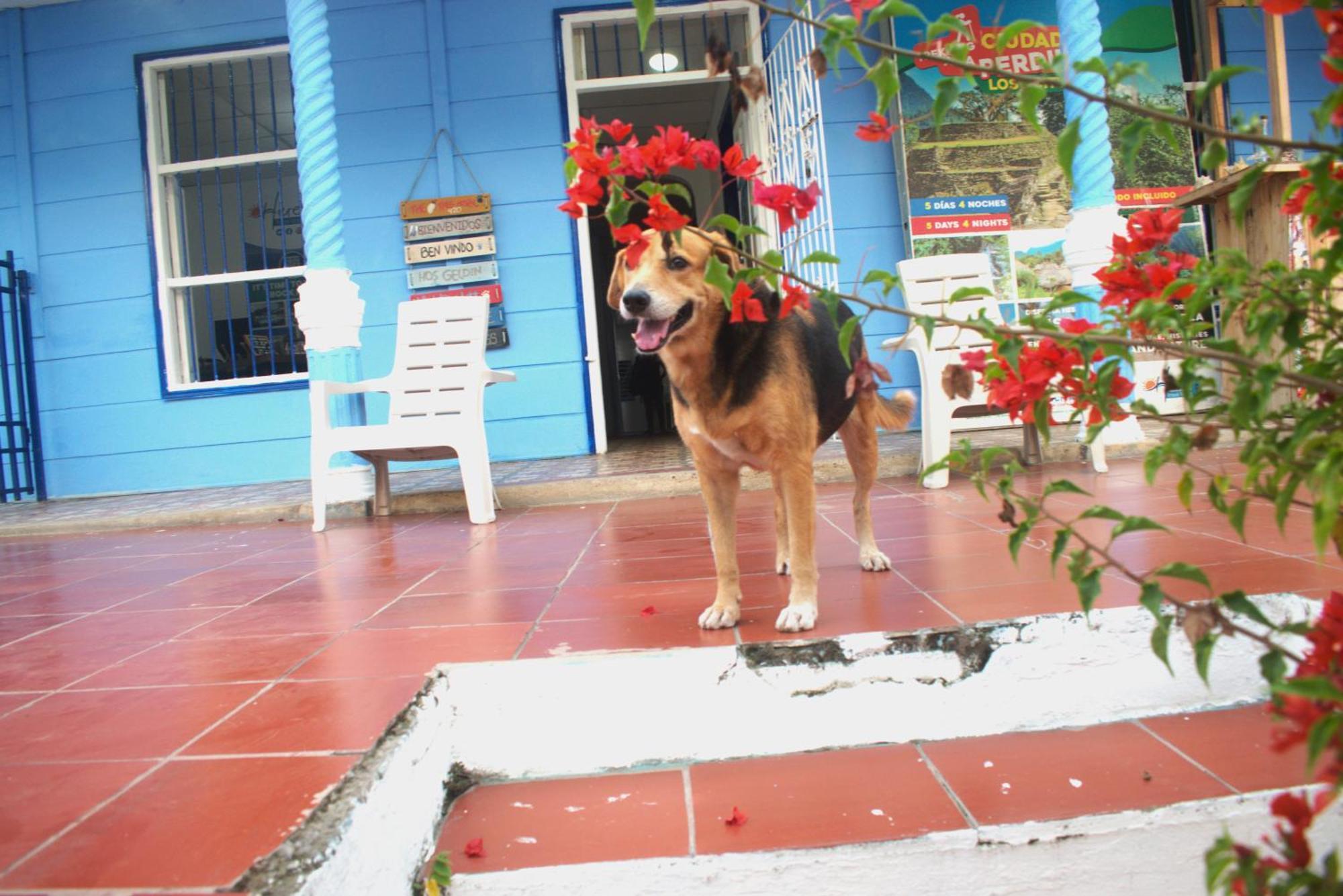 Hosting And Travel Services 420 Cartagena Exterior foto
